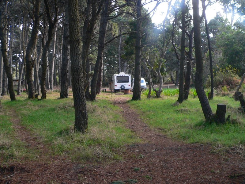 P1230076Site.jpg, 149kB