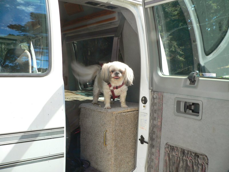 P1230637Lex.jpg, 84kB