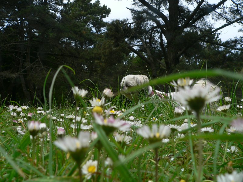 P1230655Lex.jpg, 122kB