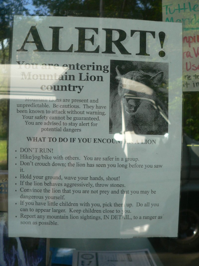 P1230700MtLion.jpg, 135kB