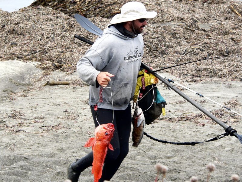 P1360193Fish.jpg, 173kB