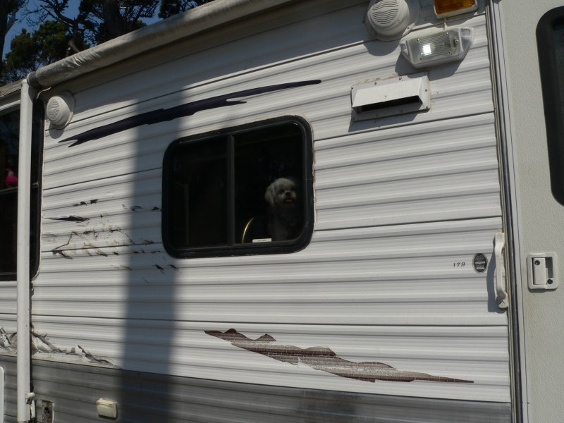 P1360375TaffyWindow.jpg, 86kB