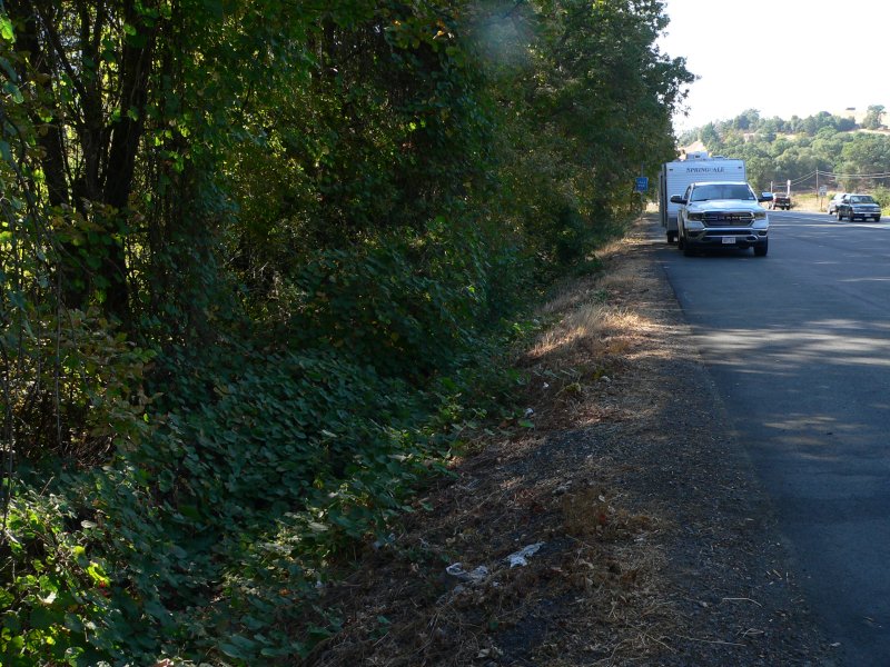 P1360410BerryStop.jpg, 141kB