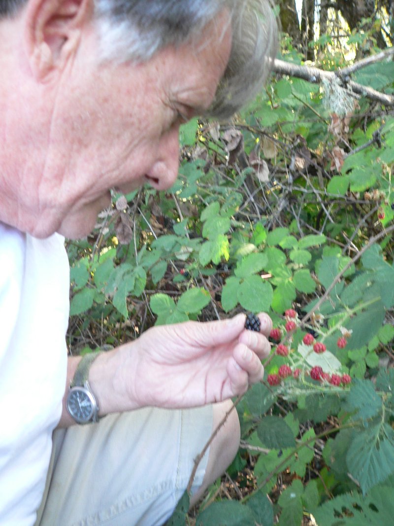 P1360419Berry.jpg, 152kB