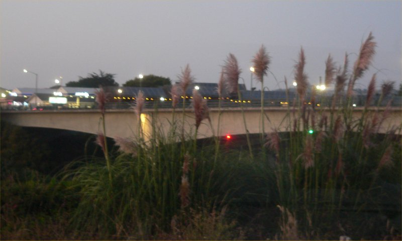 P1360801_NoyoBridge.jpg, 48kB