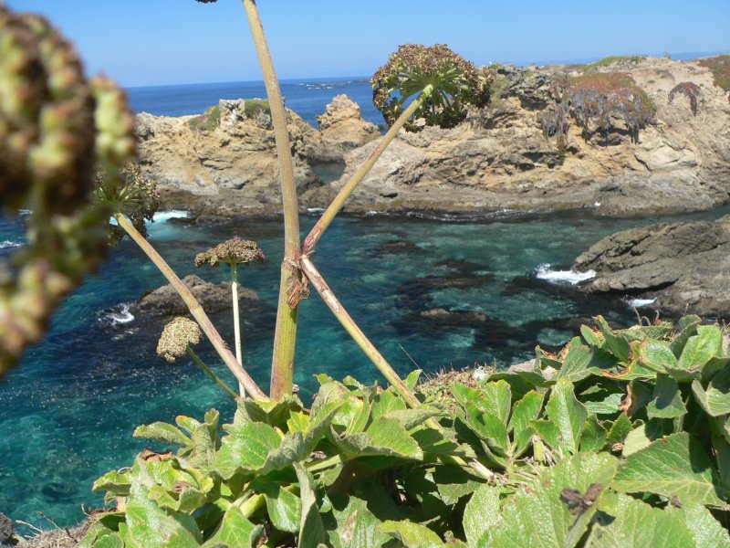 P1360812_Sea.jpg, 133kB