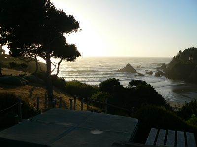 PINEBEACH.JPG, 16 kB