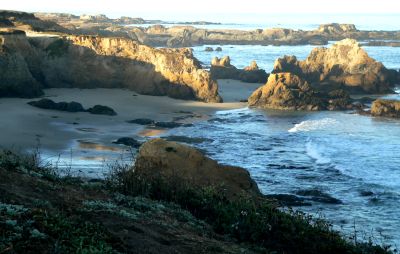 PuddenShore.jpg, 25 kB