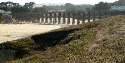 PuddenTressle.jpg, 24 kB