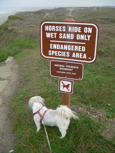 TrailSign75.jpg, 56 kB