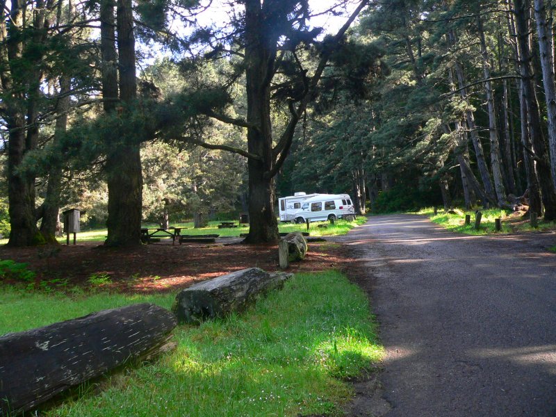 VanDamm-Alone.jpg, 155kB