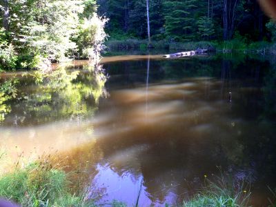 WILDWOODCG20080701.JPG, 29 kB