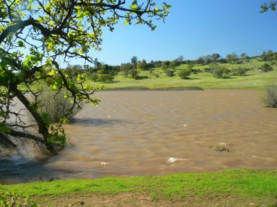 2011APR02HorseShoeSpr.jpg, 31 kB