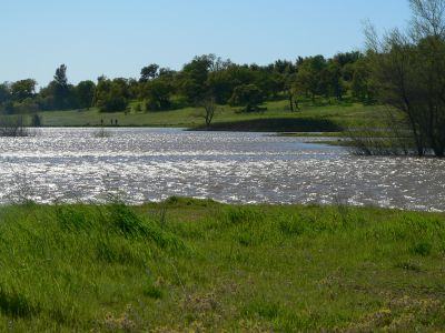 2011Apr02Shimmer.jpg, 27 kB