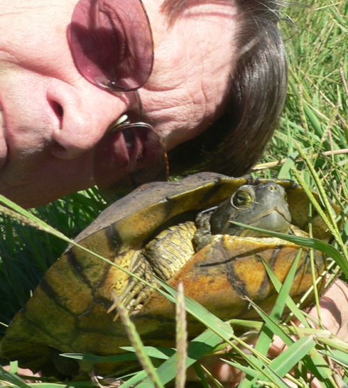 TurtleMe2010Sep07.jpg, 61 kB