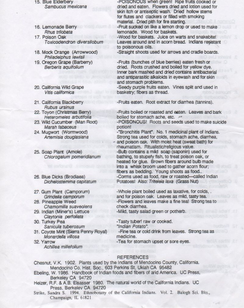 Indian uses of Chico plants List-002.jpg, 163 kB