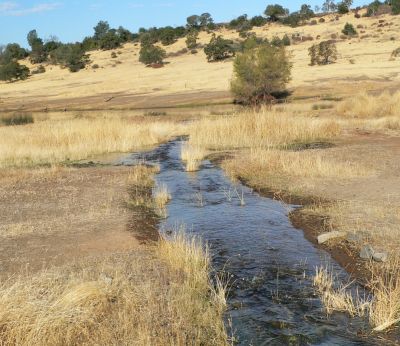 Stream2010-10-14P1190166.jpg, 36 kB