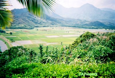 HANALEI.JPG, 34 kB