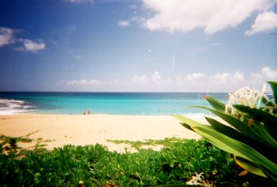 WAINIHABAY.JPG, 19 kB