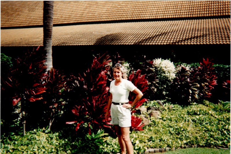 1996-LindaPlan1.jpg, 138kB