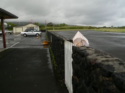 HANNASTRIP.JPG, 17 kB