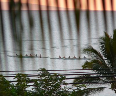 BalconyCannues.jpg, 27 kB