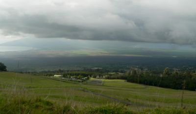 LavenderFarms.jpg, 11 kB