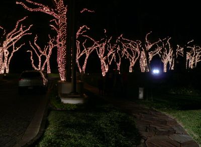 LightsGrand.jpg, 23 kB