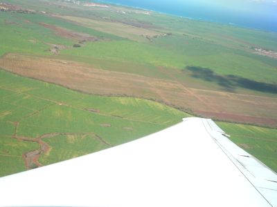 MauiWing2009Dec11.jpg, 13 kB