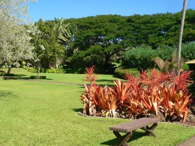 Plantation2009Dec12.jpg, 40 kB