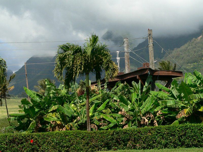 PlantationZip.jpg, 146kB