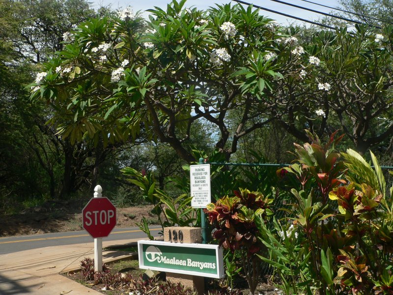 MaalaeaBanyans-Sign.JPG, 183kB