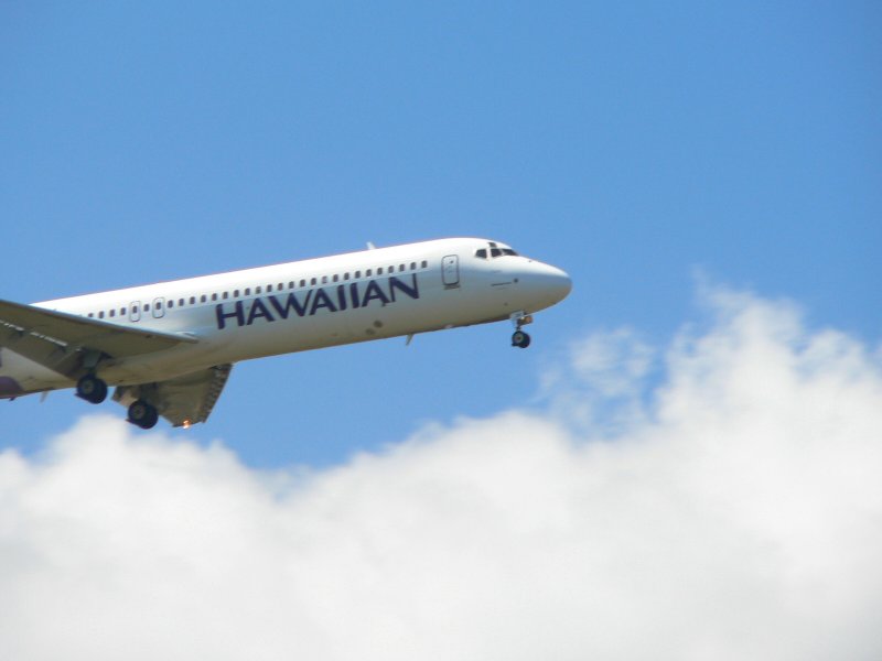 PlaneHawaiian.JPG, 30kB