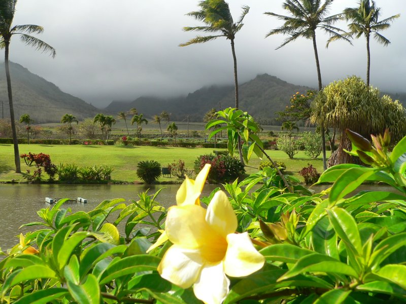 2013Plan0207.jpg, 121kB