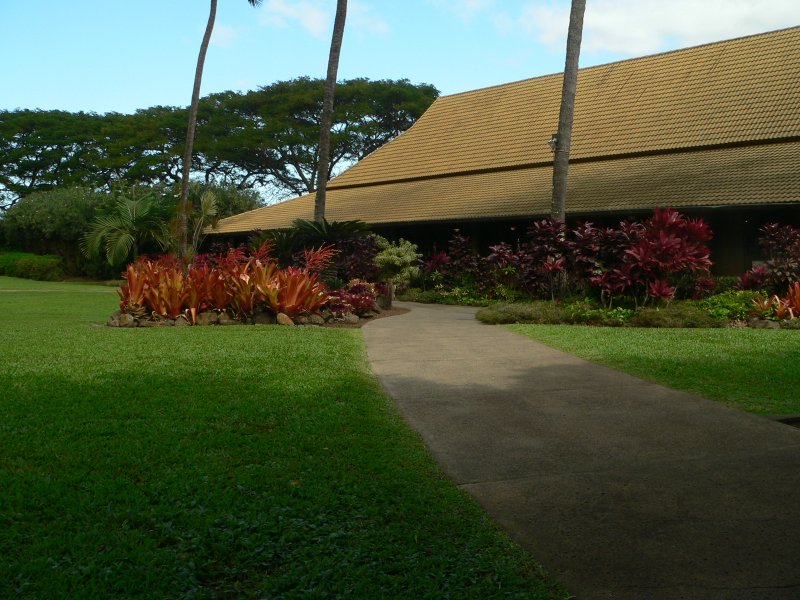 PlantationBack.jpg, 114kB