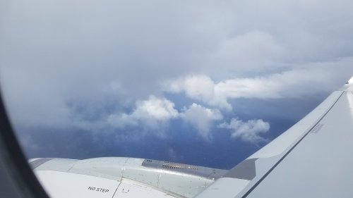 2020Maui0210_120145.jpg, 13kB