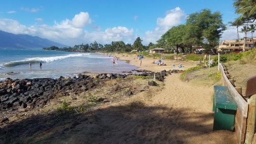 2020Maui0211_174402.jpg, 41kB