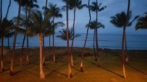 2020Maui0213_082726.jpg, 30kB