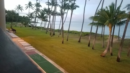 2020Maui0213_083455.jpg, 33kB