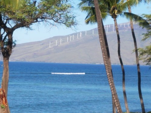 2020Maui0213_105709.jpg, 41kB