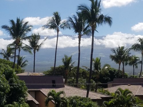 2020Maui0217_123926.jpg, 54kB