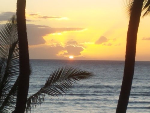 2020Maui0217_201854.jpg, 29kB