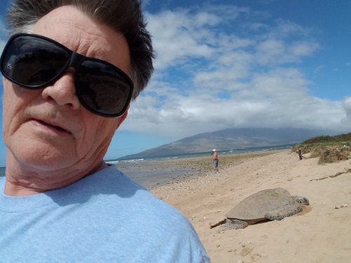 2020MauiTurtle0213_131451.jpg, 32kB