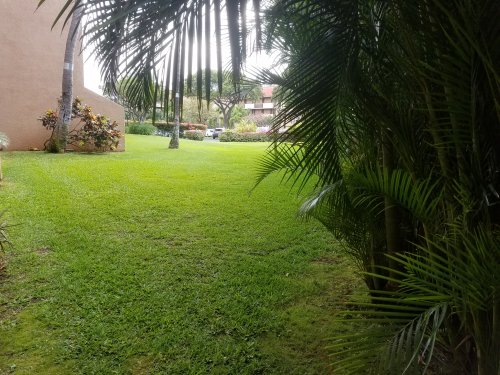 20220424_161255a.jpg, 58kB