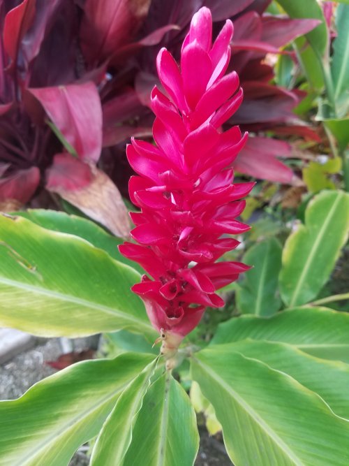 20220428_180659a.jpg, 60kB