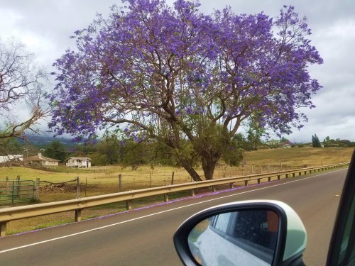 20220430_151208a.jpg, 60kB