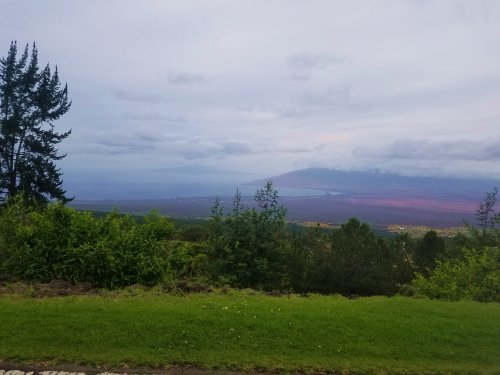 20220430_153347a.jpg, 31kB