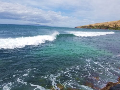 20220502_105706a.jpg, 44kB