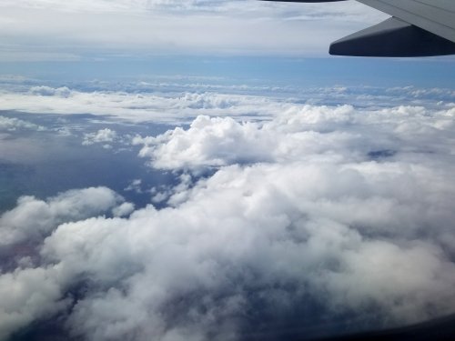 20220502_152955a.jpg, 25kB