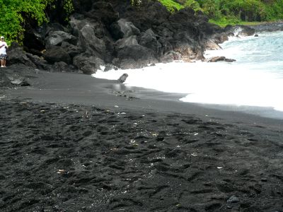 BLACKSAND0603HANA.JPG, 30 kB